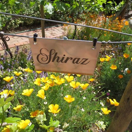 Haus Perlenblick Bed & Breakfast Paarl Bagian luar foto