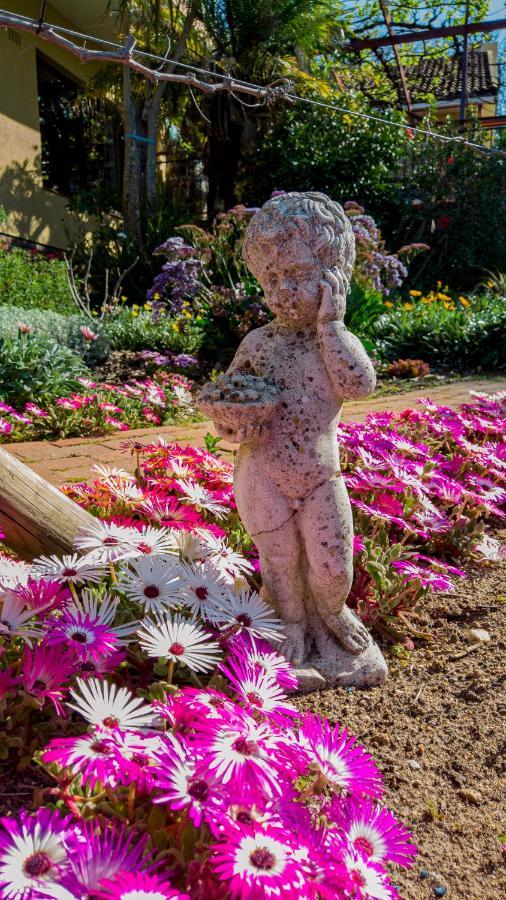 Haus Perlenblick Bed & Breakfast Paarl Bagian luar foto