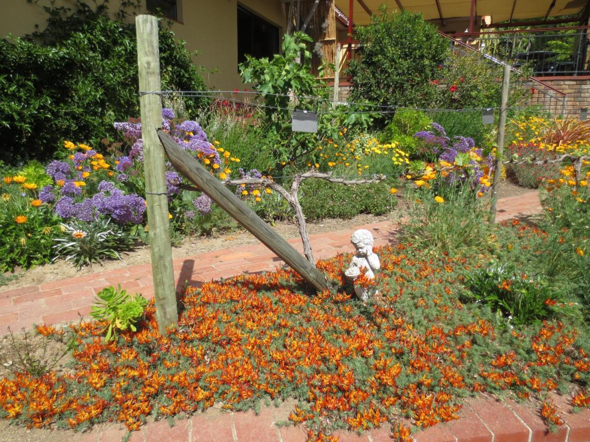 Haus Perlenblick Bed & Breakfast Paarl Bagian luar foto